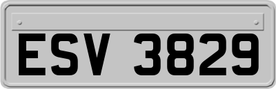 ESV3829
