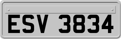 ESV3834