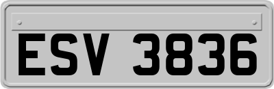 ESV3836