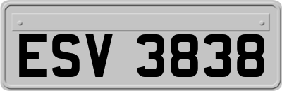 ESV3838