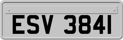 ESV3841