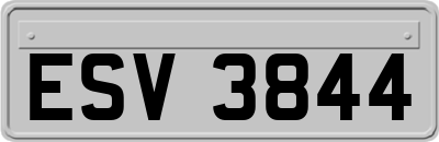 ESV3844