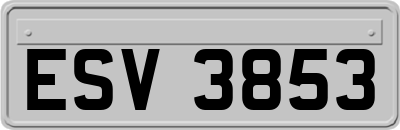 ESV3853