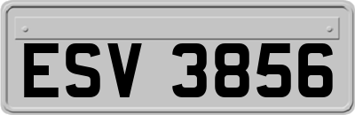 ESV3856