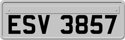 ESV3857