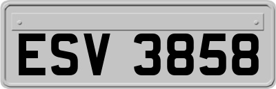 ESV3858