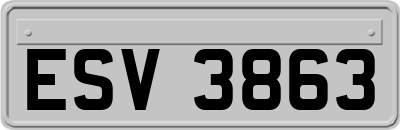 ESV3863