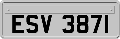 ESV3871