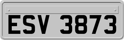 ESV3873