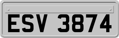 ESV3874