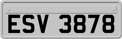 ESV3878