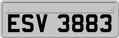 ESV3883