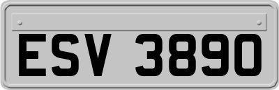 ESV3890
