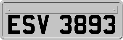 ESV3893