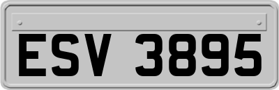 ESV3895