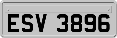 ESV3896