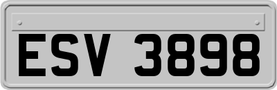 ESV3898