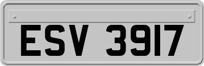 ESV3917