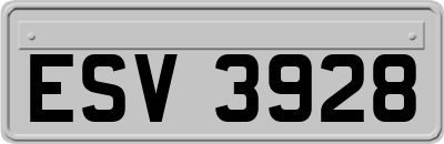ESV3928