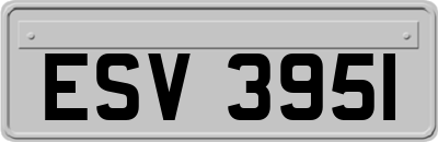ESV3951