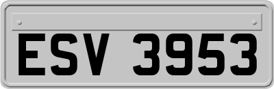 ESV3953