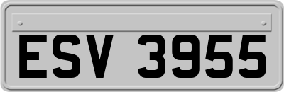 ESV3955