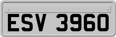 ESV3960