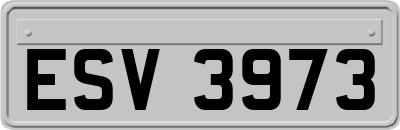 ESV3973