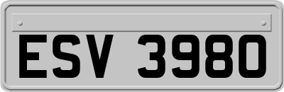 ESV3980