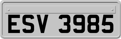 ESV3985