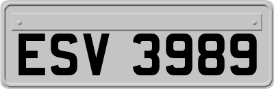 ESV3989