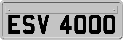ESV4000
