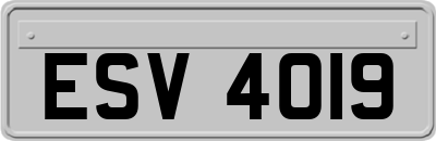 ESV4019
