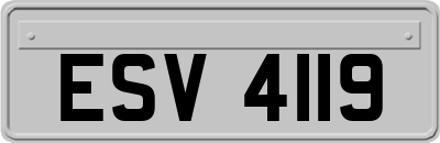 ESV4119