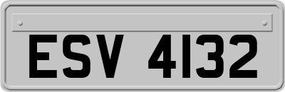 ESV4132