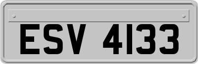 ESV4133