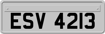 ESV4213