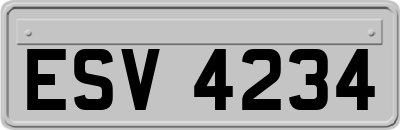 ESV4234
