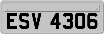 ESV4306