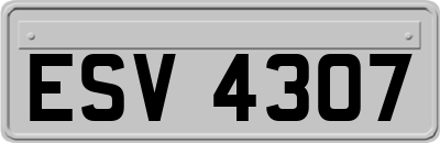 ESV4307