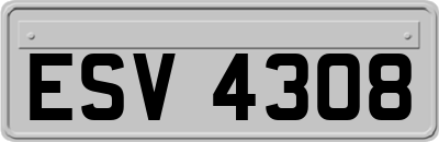 ESV4308