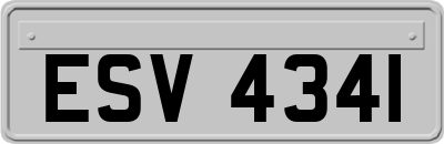 ESV4341