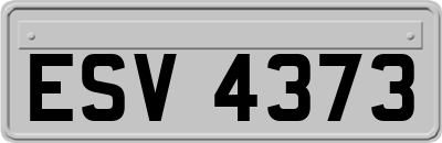 ESV4373