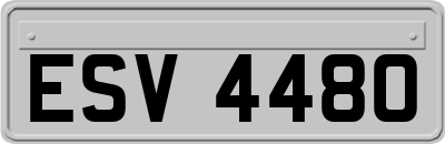 ESV4480