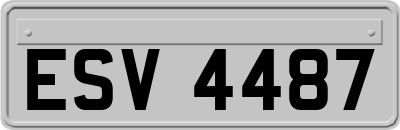 ESV4487