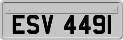 ESV4491