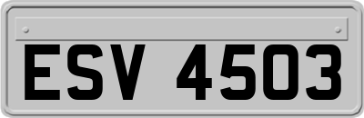 ESV4503