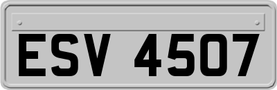 ESV4507