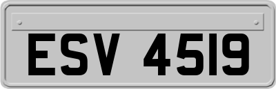 ESV4519