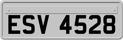 ESV4528